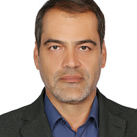 علی شکوهی بیدهندی